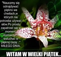 Kwiat na Wielki Piątek